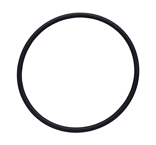 ANEL O'RING 1009-0020