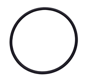 ANEL O'RING 1009-0020 